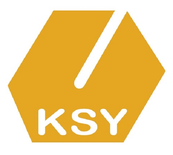 King San-You Enterprise Co., Ltd logo
