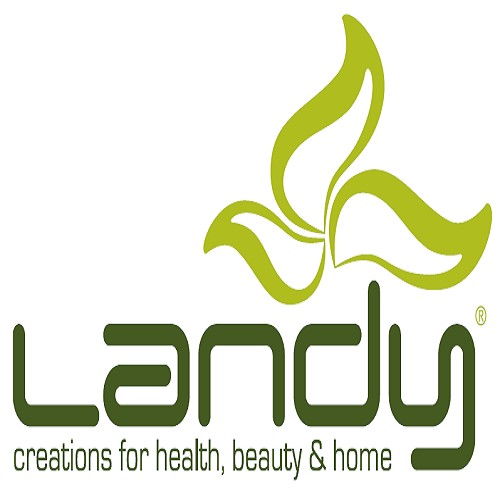 Landy International logo