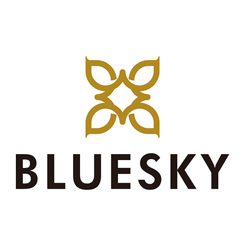 Guangzhou Bluesky Chemical Technology Co., Ltd logo