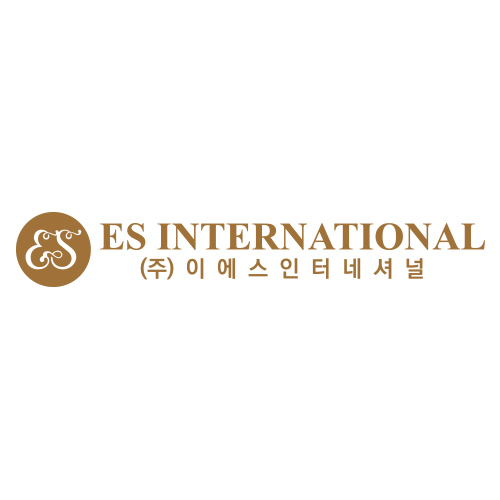 ES International logo