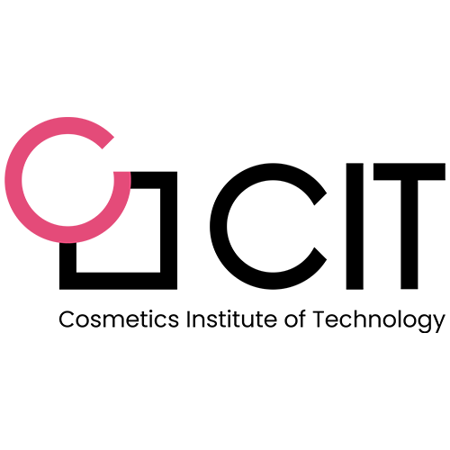 CIT CO., LTD. logo