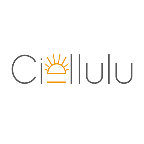 Jilin CIELLULU Medical Photoelectric Technology Co.,Ltd logo