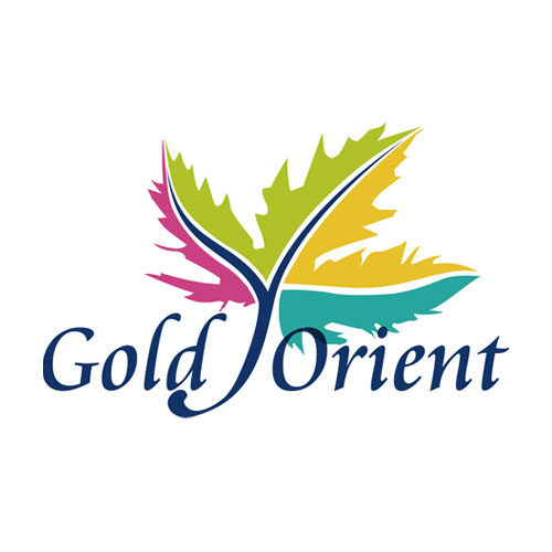Gold Orient International Limited logo
