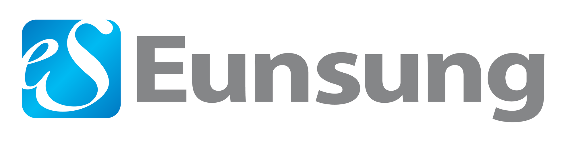 Eunsung Global Corp. logo