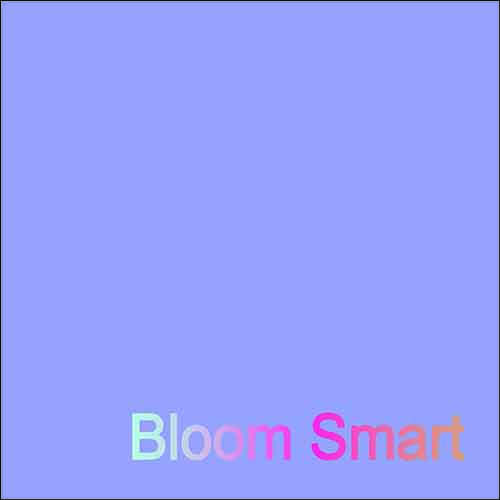Bloom Smart Trading Ltd logo