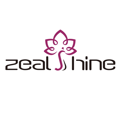 Dongguan Zeal Shine Electric Appliance Co., Ltd logo
