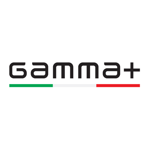 Gamma Piu S.r.l. logo