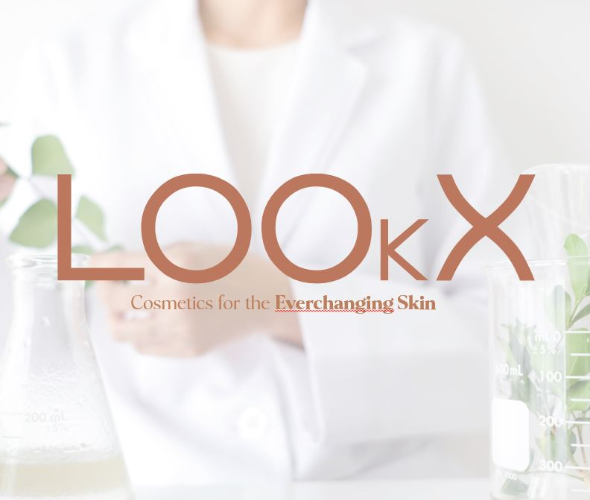 Lookx Group logo