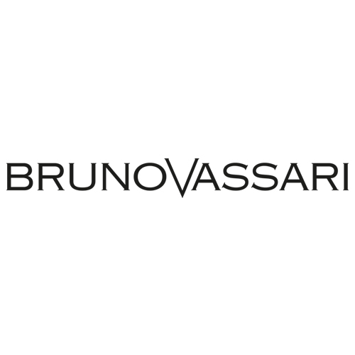 Bruno Vassari logo