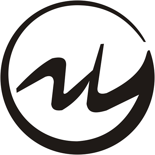 Dongguan Welles Pack Co., Ltd. logo