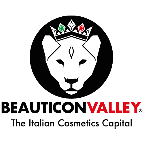Italian Group S.r.l. logo