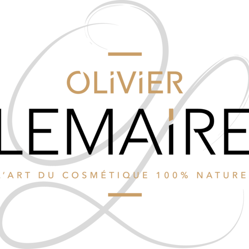 Lmr Concept logo