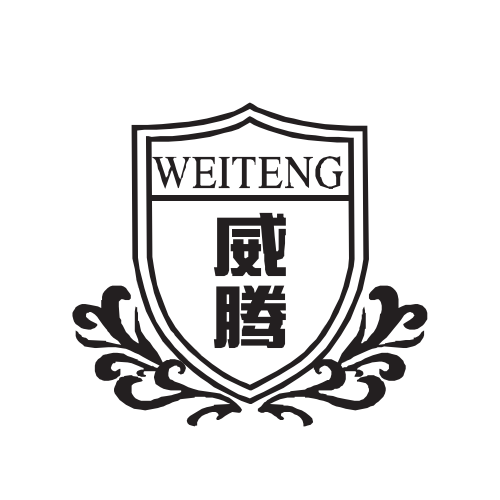 Guangdong Weiteng Plastic Technology Co., Ltd. logo
