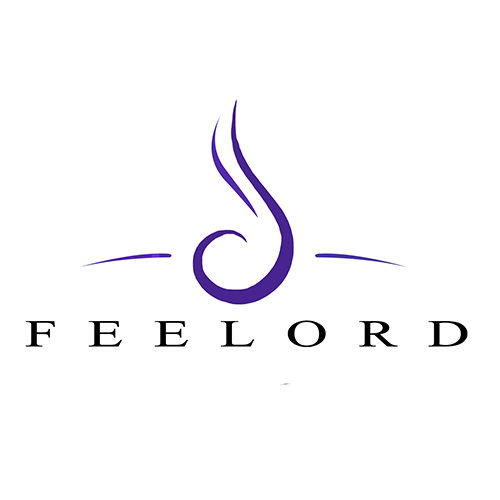Jinhua Feelord Cosmetics Packaging Co., Ltd. logo