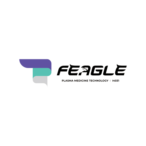 Feagle Co., Ltd logo