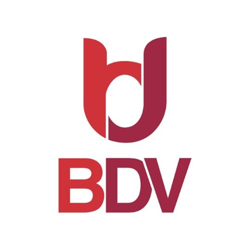 Bright Diva Ventures Pte Ltd logo