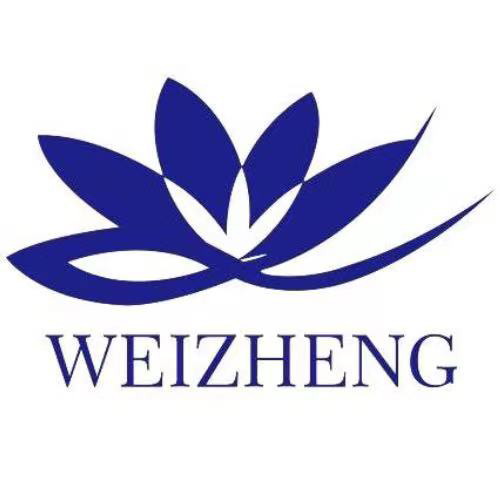 Hebei Weizheng Electronic Technology Co., Ltd logo