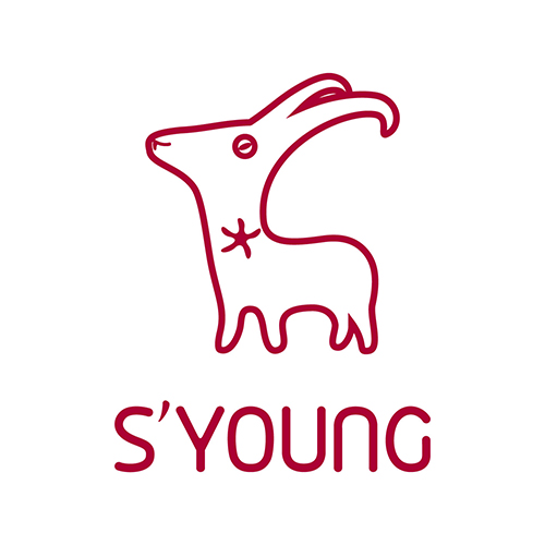 Changsha SYoung Network Technology Company Limited logo